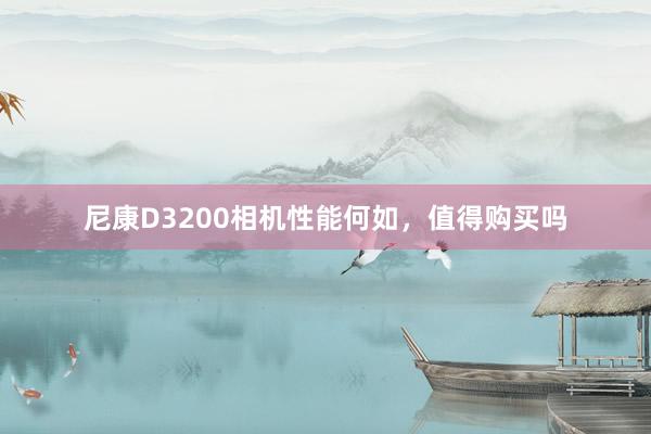 尼康D3200相机性能何如,值得购买吗